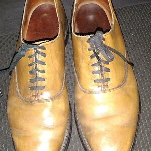 Allen Edmonds Men's Leather Plain Toe Oxfords 10 D Brown USA